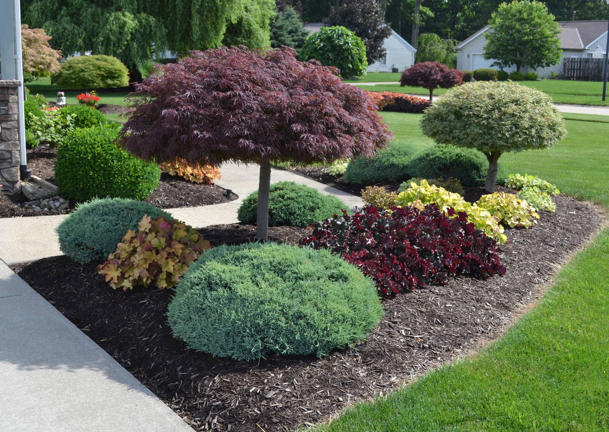 Landscape Design in Floyds Knobs example 6