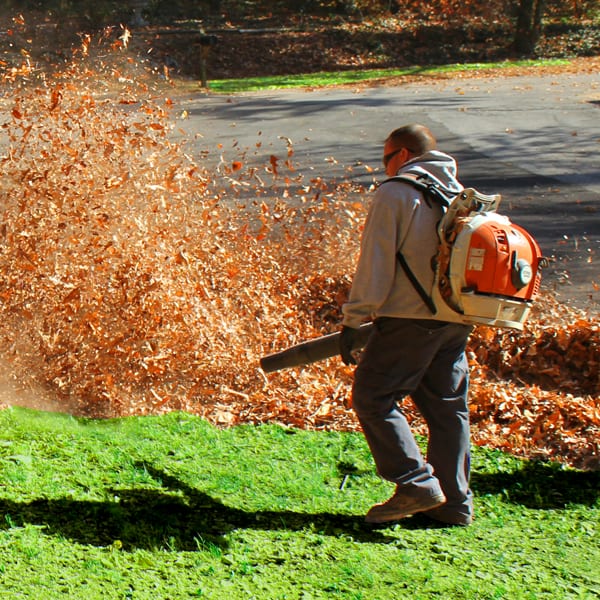 Leaf Removal in Floyds Knobs example 3