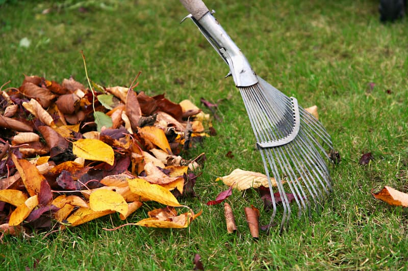Leaf Removal in Floyds Knobs example 4