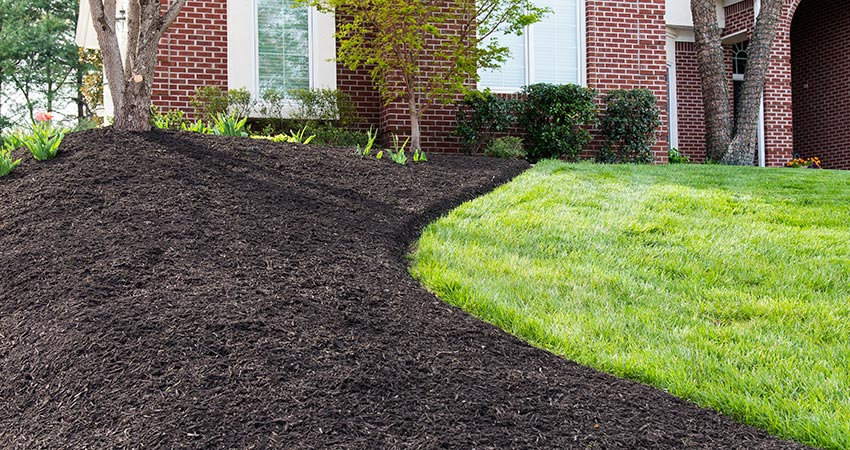Mulch Installation in Floyds Knobs example 1