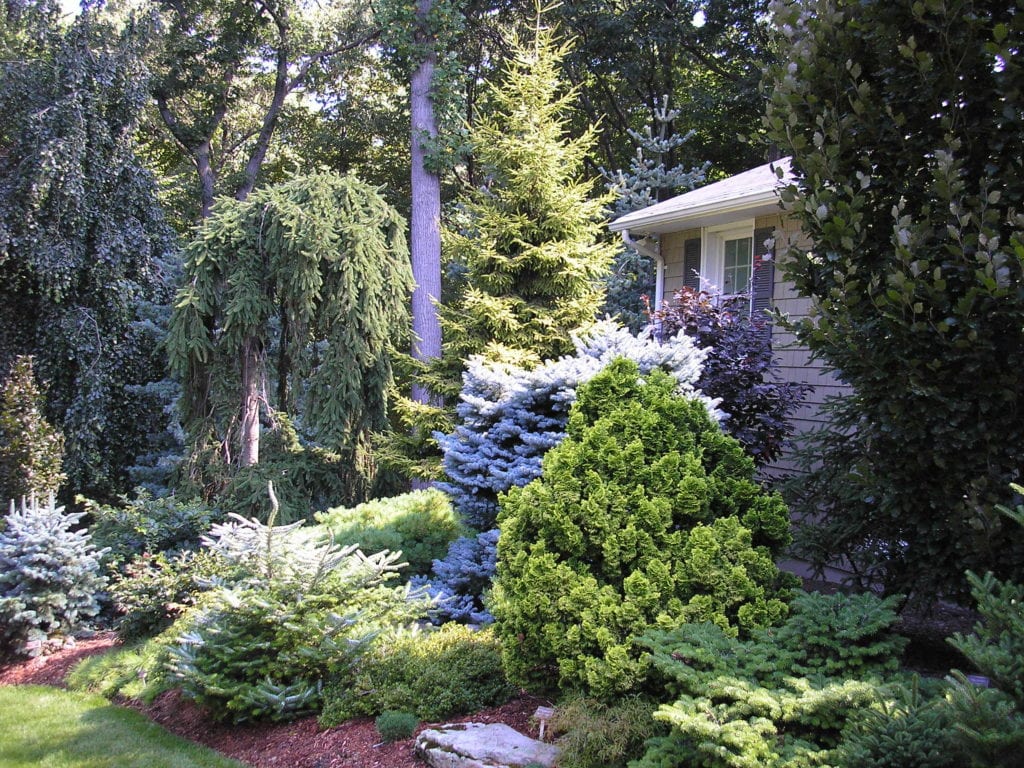 Tree & Shrub Planting in Floyds Knobs example 1
