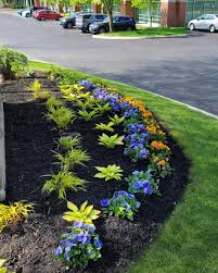 Tree & Shrub Planting in Floyds Knobs example 6