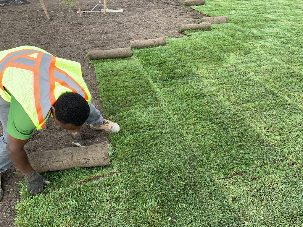 Sod Installation in Floyds Knobs example 1