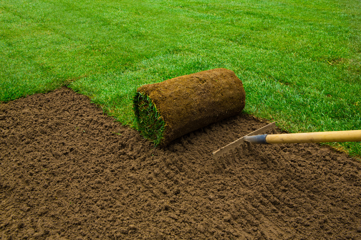 Sod Installation in Floyds Knobs example 2