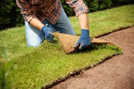 Sod Installation in Floyds Knobs example 3