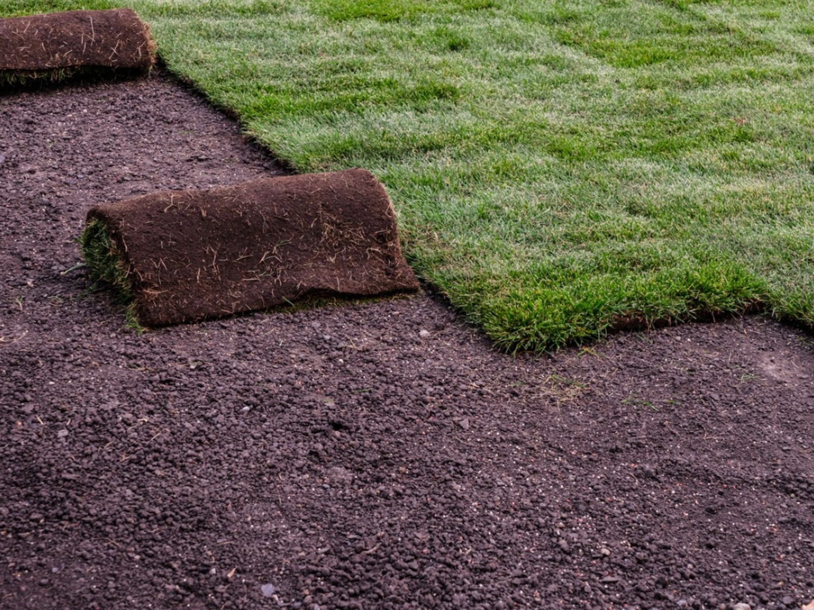 Sod Installation in Floyds Knobs example 5